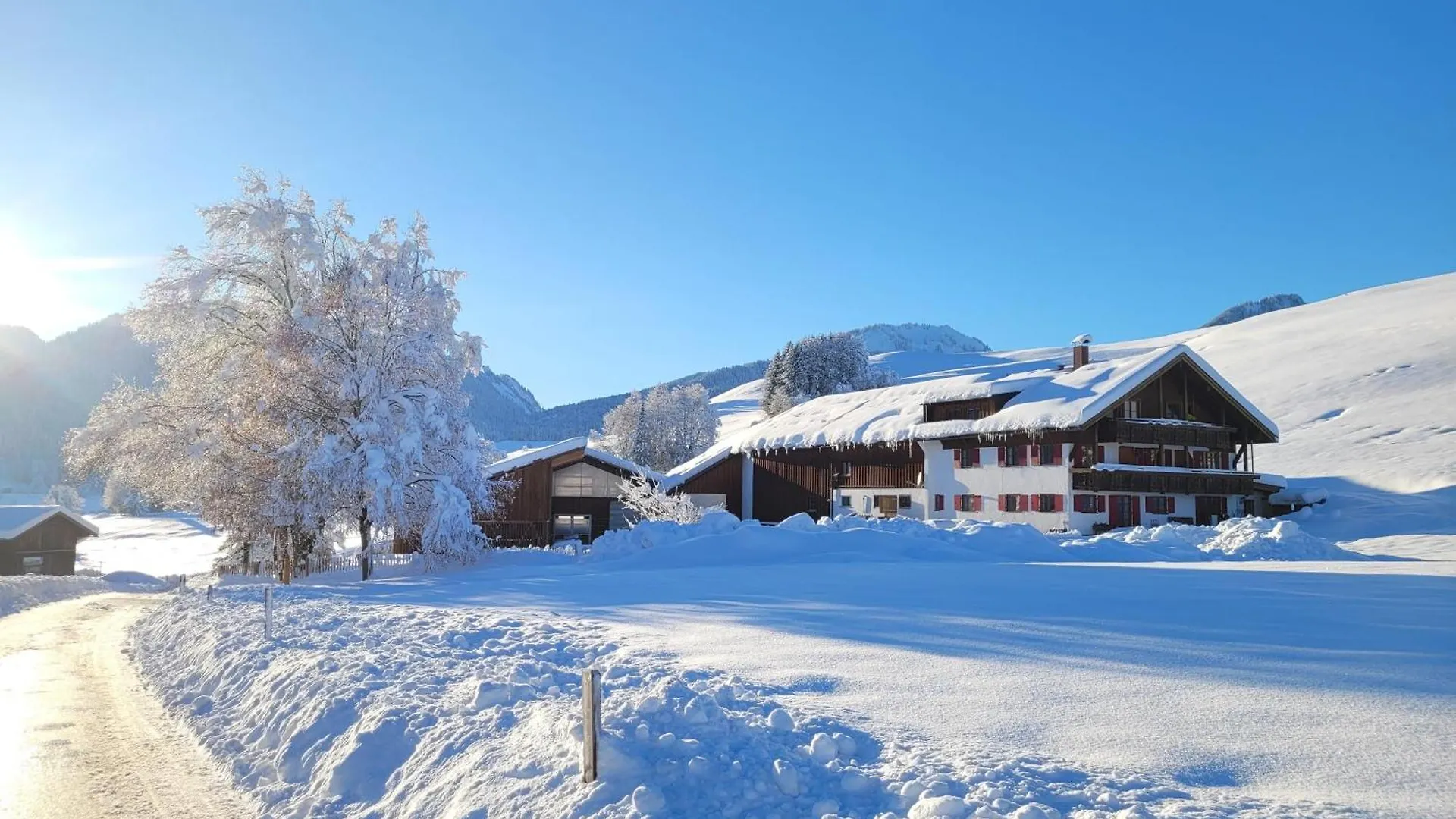 Naturgut Allgaeu Fischen im Allgaeu 0*,